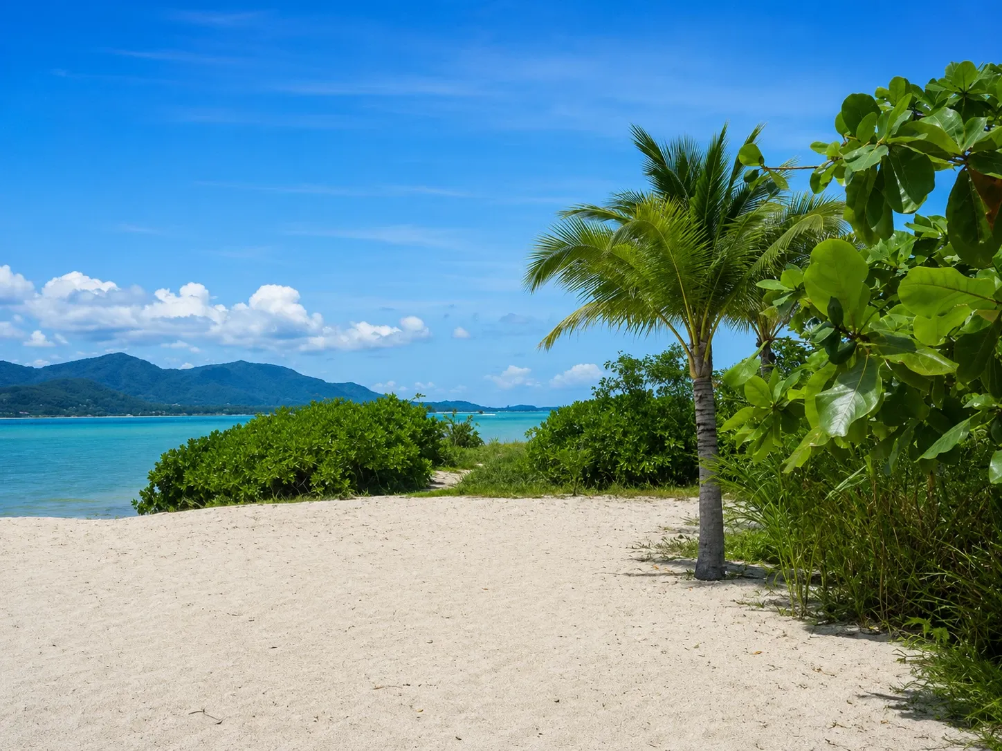 Einsame Palme an einem weißen Sandstrand auf Ko Samui mit türkiser Bucht und Bergen