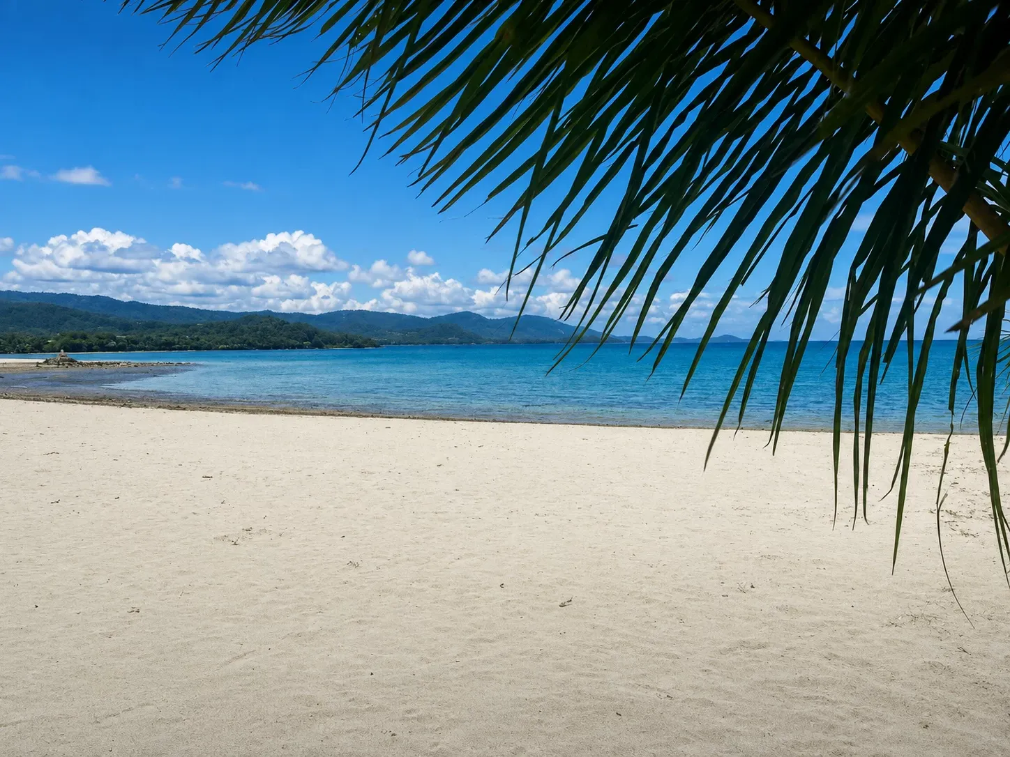 Stiller, weiter Sandstrand auf Ko Samui mit Palmwedel und türkiser Bucht
