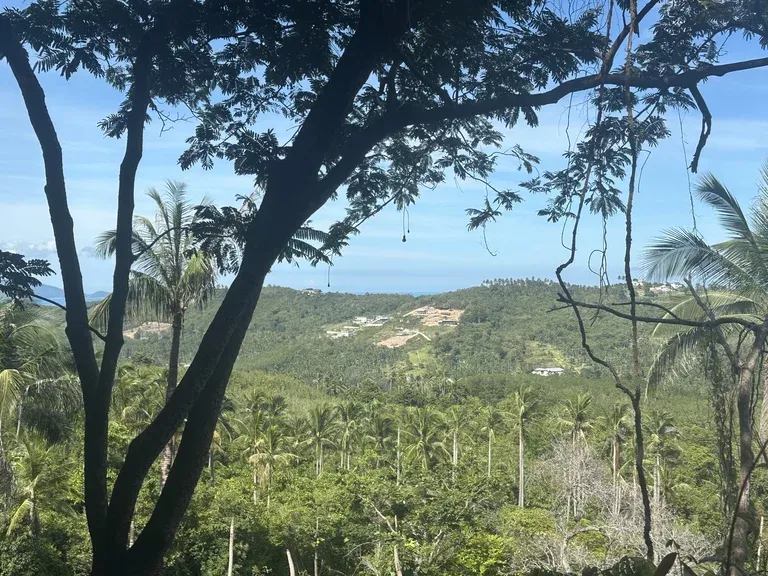 Weite, ruhige Landschaft über der Bucht von Ko Samui
